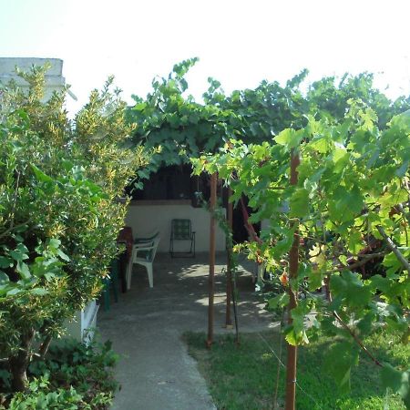 Две Сестри Lozenets Dış mekan fotoğraf